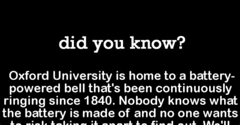 10 Weird Facts That You Might Not Know