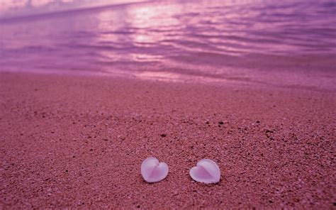 Seashells Beach Heart Sand Pink Hd Wallpaper Rare Gallery