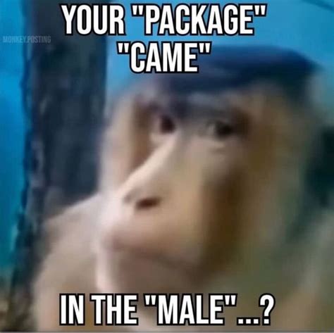 Your Package Came In The Male Ifunny