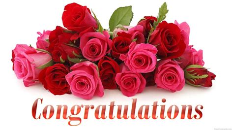 Congratulations With Flowers