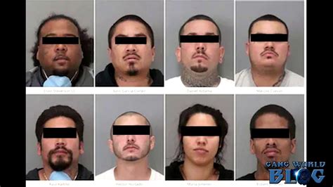 San Jose Gang Bust
