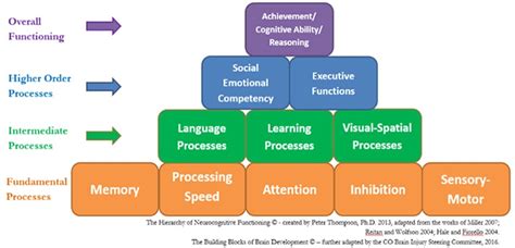 Parts Of The Brain And Their Functions For Kids