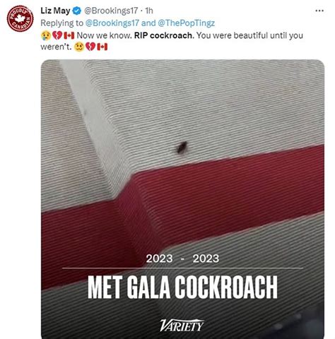 Rip To The Met Gala Cockroach Twitter Mourns As Critter Dies Trends Now