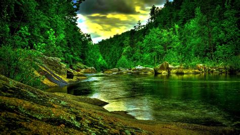 Beautiful Forest Wallpapers 39 Images