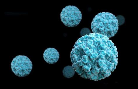 Five Fast Facts About Norovirus