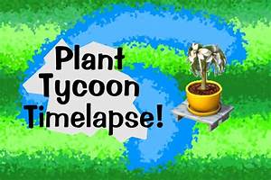Plant Tycoon Timelapse Youtube