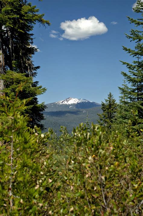 Muir Ck Loop Rogue Umpqua Divide Wilderness 08 May 2015 Oregon Hikers