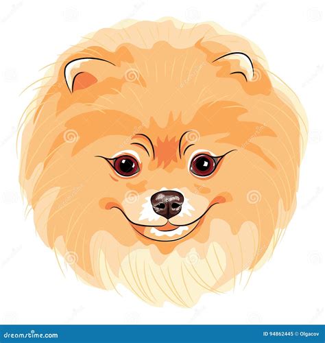 Vector Cute Dog Pomeranian Stock Vector Illustration Of Cheerful