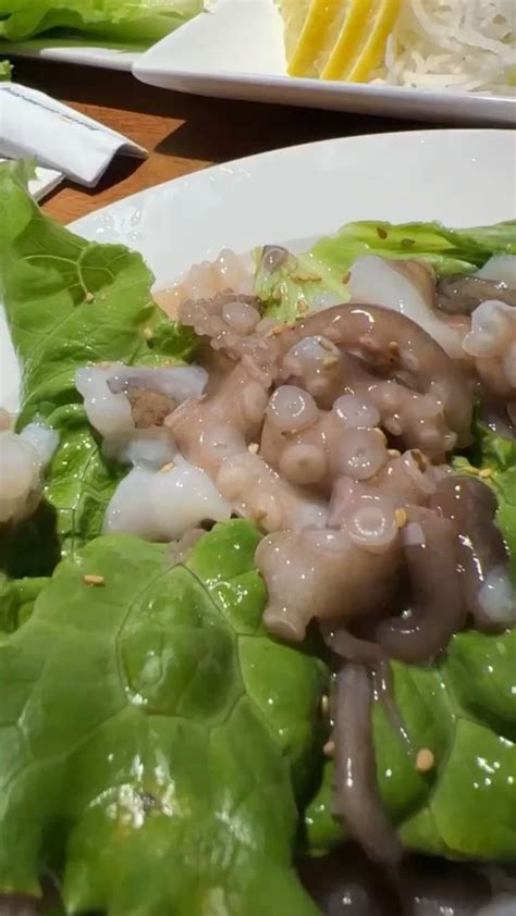 Eating Live Octopus In South Korea Live Octopus Dish Video Food