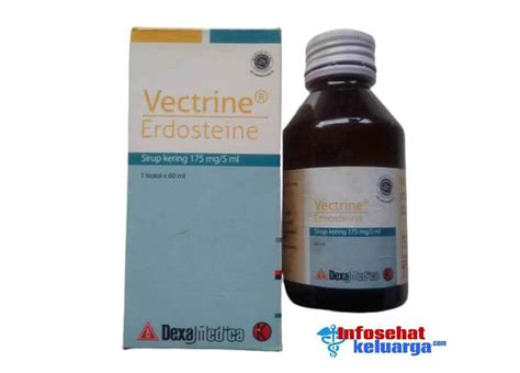 Obat Vectrine Erdosteine Kegunaan Efek Samping And Dosis 2024