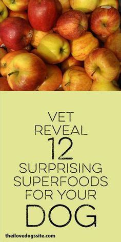 Care veterinary clinic and care at the courtyard veterinary clinic provide quality pet care for dogs our locations. Vet Reveals 12 Surprising Superfoods For Your Dog | Dog ...