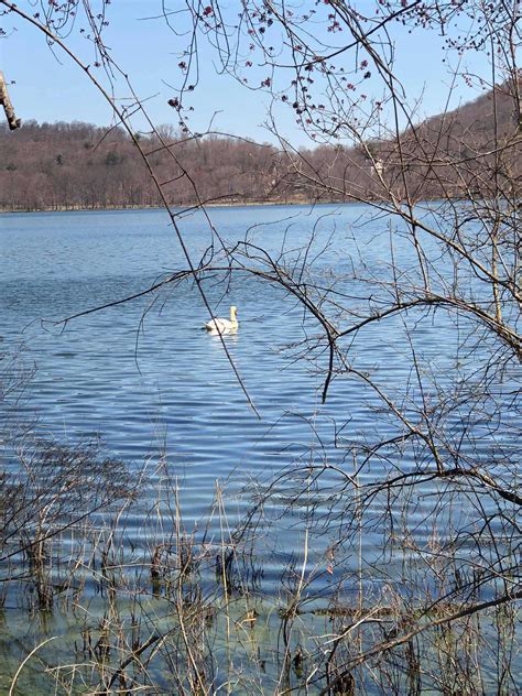 Rockland Lake State Park Parks Guidance