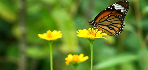 Photos: These wildlife spots bring lush greenery and dynamic wildlife