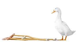 Accident insurance covers qualifying injuries, which might include a broken limb, loss of a limb, burns, lacerations, or paralysis. Aflac Accident Plans - Individual and Group - Insurance Shops