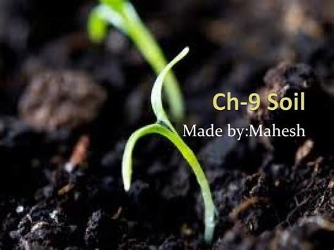 Ch 9 Soil Ppt