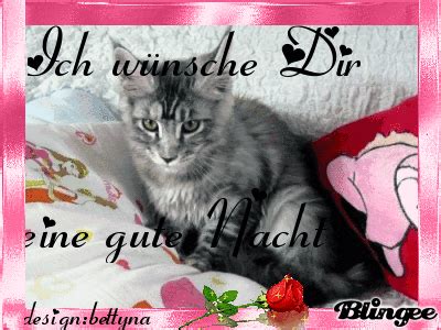 Hier finden sie eine kleine auswahl. Katze gute nacht Picture #125053728 | Blingee.com