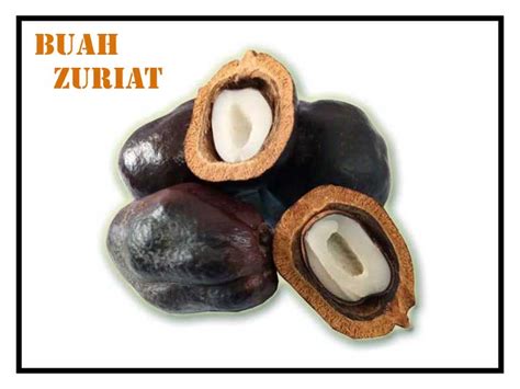 Buah di belah menjadi dua/ empat. Cara Menggunakan Buah Zuriat Dari Mekah