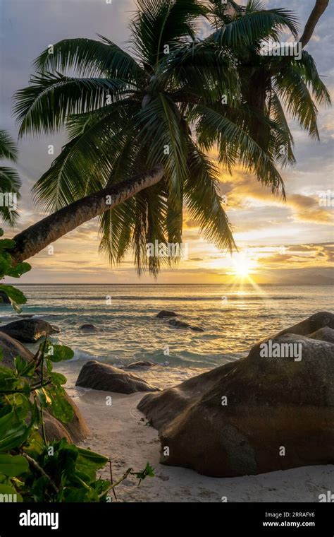 Perfect Sunset Landscape On A Scenic Tropical Sand Beach With Palm