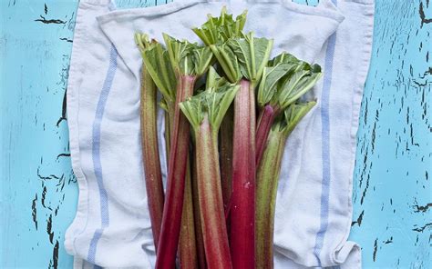 Can You Eat Rhubarb Raw The Answer May Surprise You Rhubarb Freezer