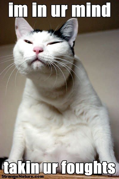 Download for free on your phone or computer! Funny Picture Clip: funny stuff, poems, funny animal ...
