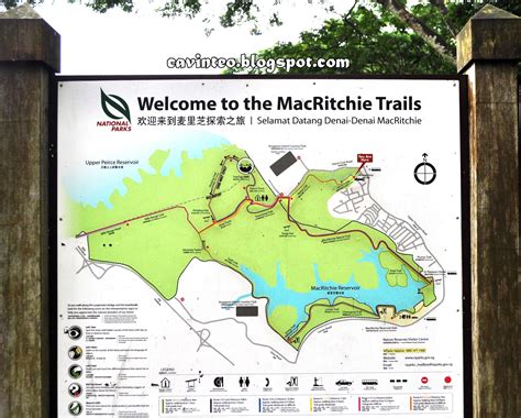 Busiest days at macritchie nature trail sunday. Entree Kibbles: HSBC Treetop Walk - A Refreshing Morning ...