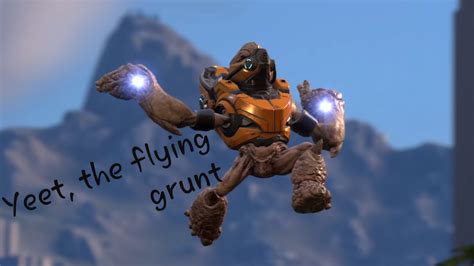 Everyone Hail Yeet The Flying Grunt Halo