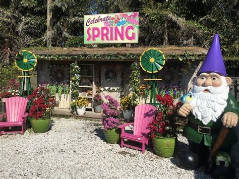 Check spelling or type a new query. Fall Festival Information | Flamingo Road Nursery | Davie ...