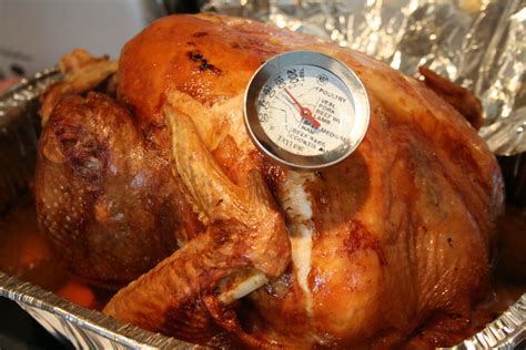 Most whole turkeys weigh anywhere from four to eight times the size of your average whole chicken. Things I Like To Make: Orange Rosemary Roasted Turkey with ...
