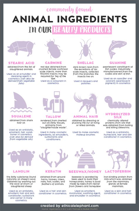 Vegan Beauty Cosmetics Explained & Defined