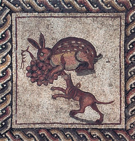 yayinNY: The Roman Mosaic from LOD, Israel