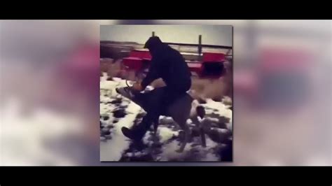 Oregon Man Arrested After Video Showed Him Riding On The Back Of A Mule Deer