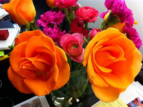 Cocotribeca The Most Amazing Orange Roses