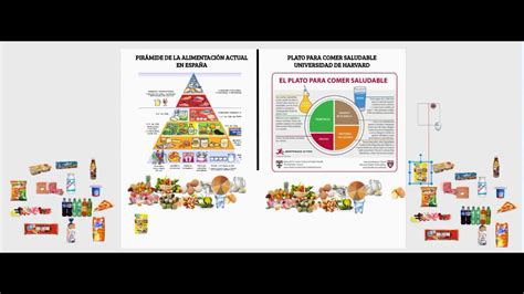 Pirámide De La Alimentación Vs Plato Harvard Youtube