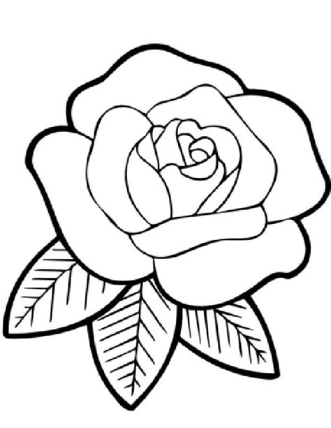 150 Desenhos De Rosas Para Imprimir E Colorirpintar