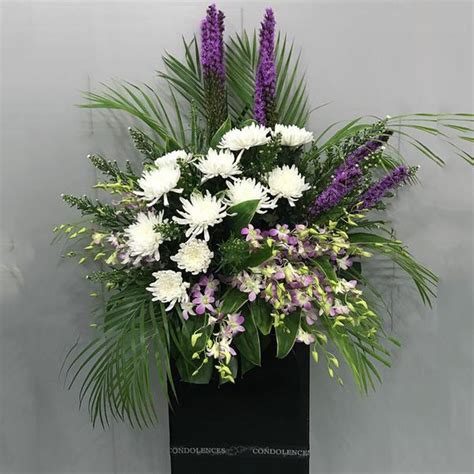 Check spelling or type a new query. In our life condolence is one of the most important ...