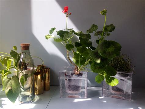 Indoor Plants Self Watering Pot