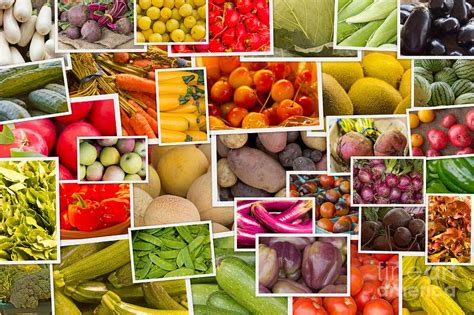 Fruits And Vegetables Collage Photograph By Ezume Images Pixels