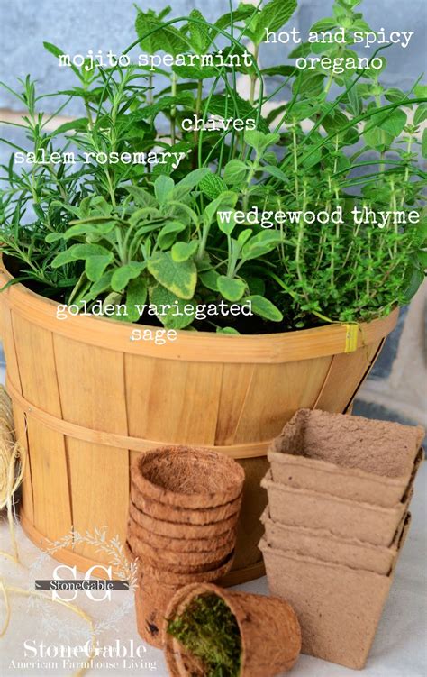 Check spelling or type a new query. KITCHEN HERB GARDEN IN A BASKET