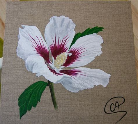 Peinture Peinture Fleur Hibiscus Blanc
