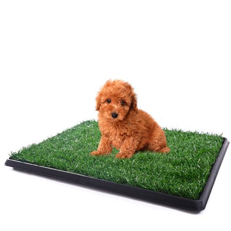 Fake grass for dogs looks and feels like the real thing, only it's better. Topcobe Artificial Grass, Dog Potty Grass, Puppy Potty Trainer, 25"x20" Fake Grass Turf for Dogs ...