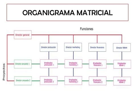 Organigrama Matricial Que Es Definicion Y Concepto Economipedia Images