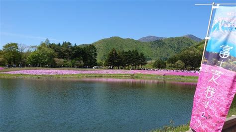 【本栖】息をのむ、富士山とピンクの絶景〜富士本栖湖リゾート 関東周辺の絶景・絶品グルメ巡り