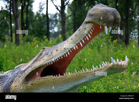 Supercroc (Sarcosuchus imperator), largest crocodile like reptile ever