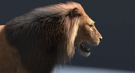 Lion Rigged Fur — Missset