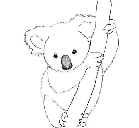 How To Draw A Koala Easy Step By Step Draw Central Koala Drawing