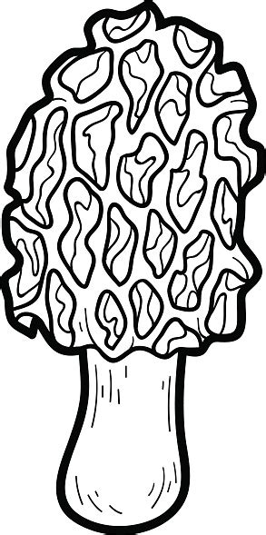 Instead, each page features cute little mushroom people enjoying their woodland habitat. Coloring Book Edible Mushrooms Morel Stock Illustration ...