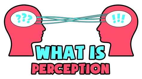 What Is Perception Explained In 2 Min Youtube
