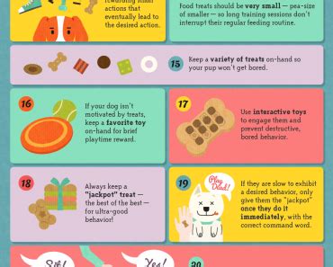 Everyone knows it's easier to learn when you are having a good time, so try implementing some games into your dog training regimen. Pets Archives - Animal Facts For Kids | Wild Facts