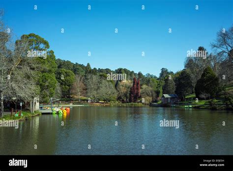 Emerald Lake Park Melbourne Australia Stock Photo Alamy