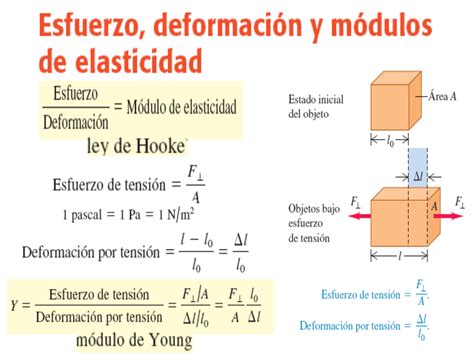 Resumen EQUILIBRIO Y ELASTICIDAD Fisica I Ingenieria UNC Filadd